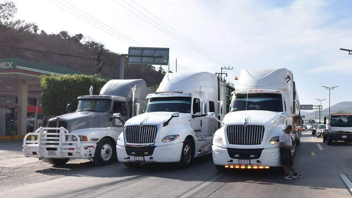 Autotransporte de carga-Cofece